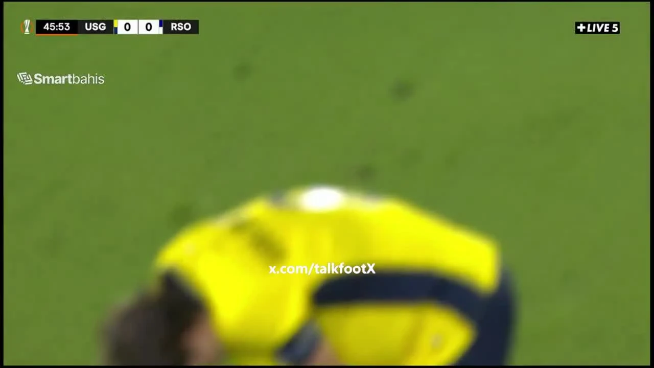 zaslepka skrotu video