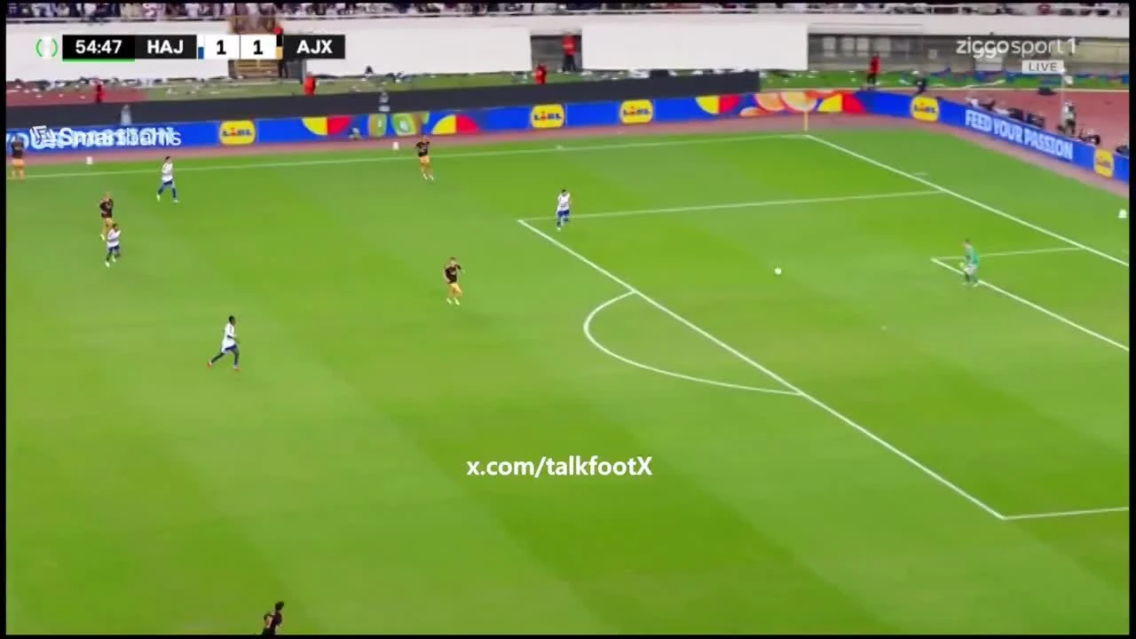 zaslepka skrotu video