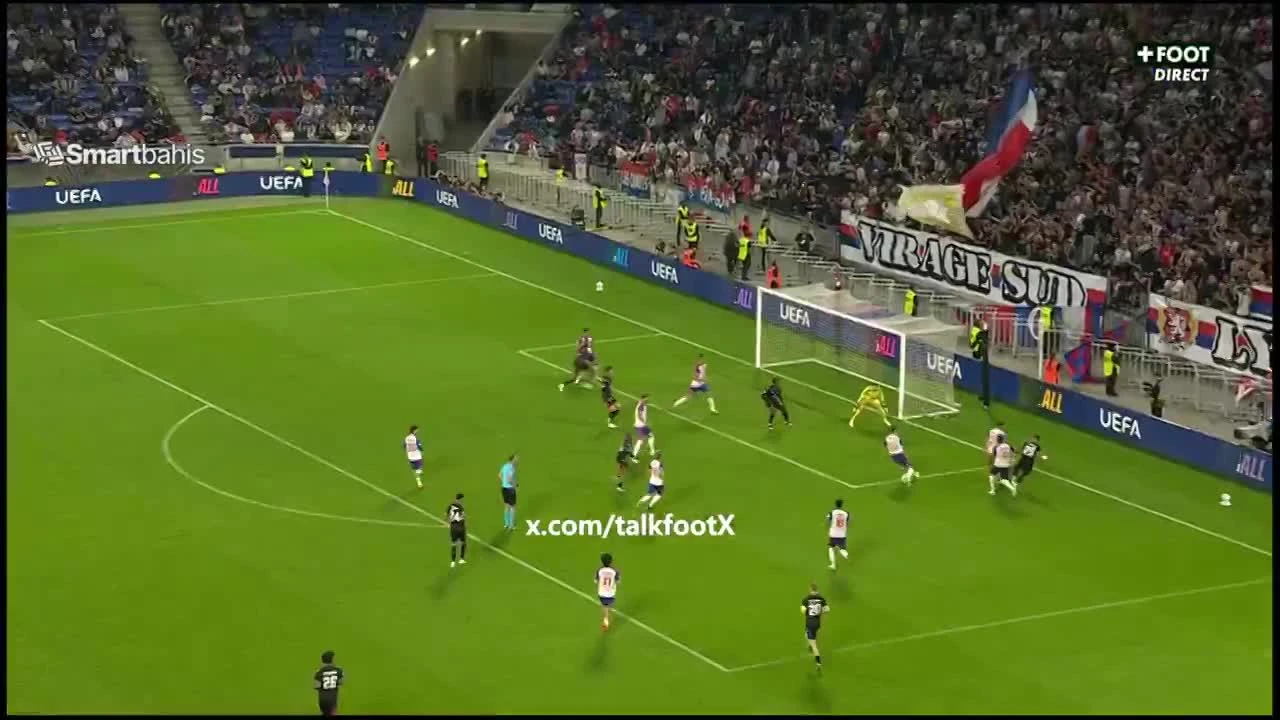 zaslepka skrotu video