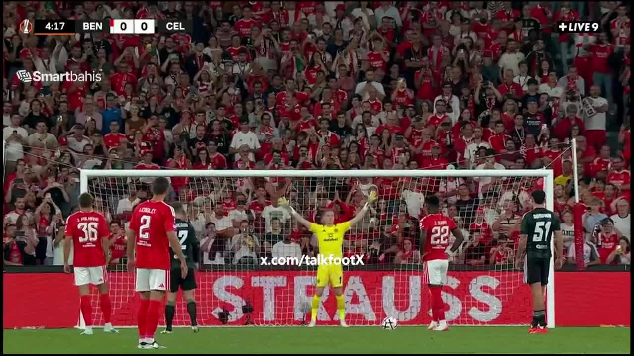 zaslepka skrotu video