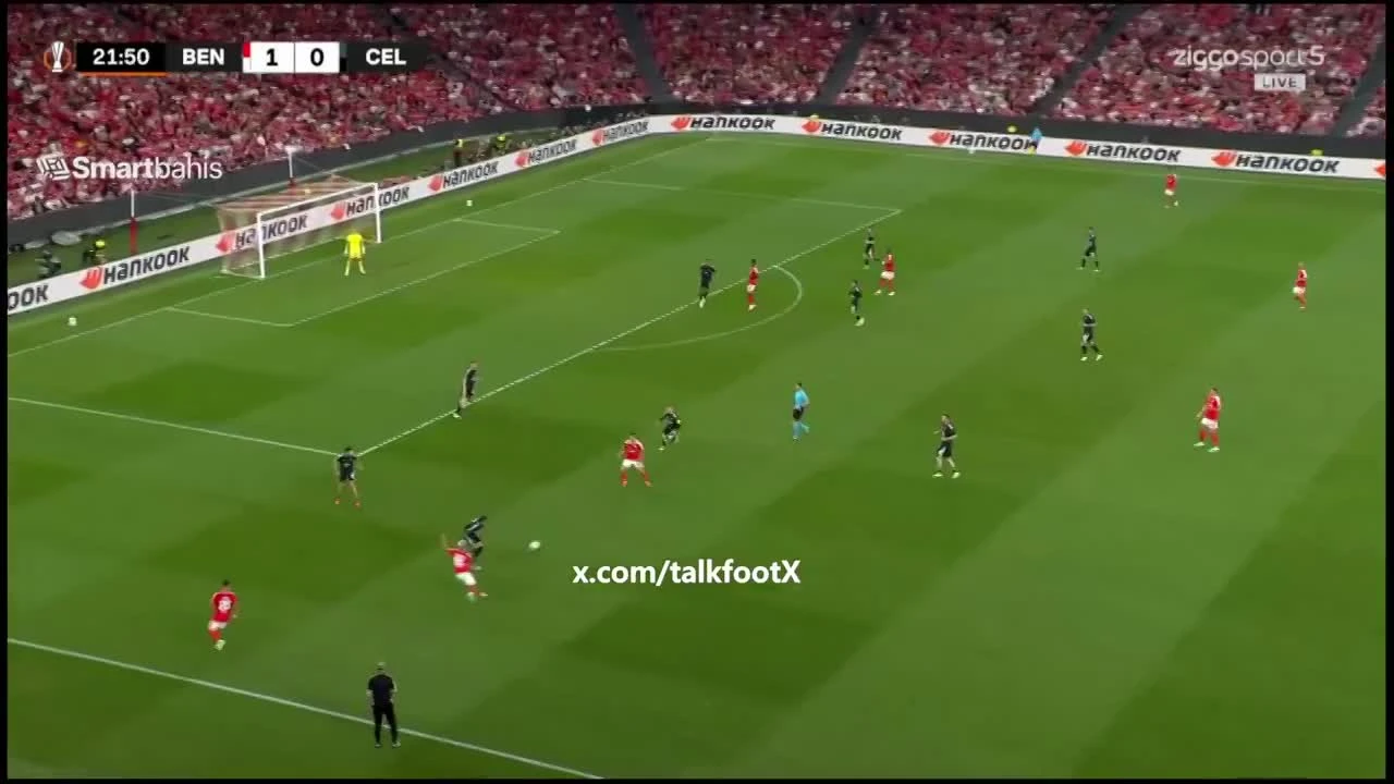 zaslepka skrotu video