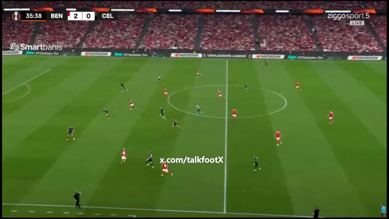 zaslepka skrotu video