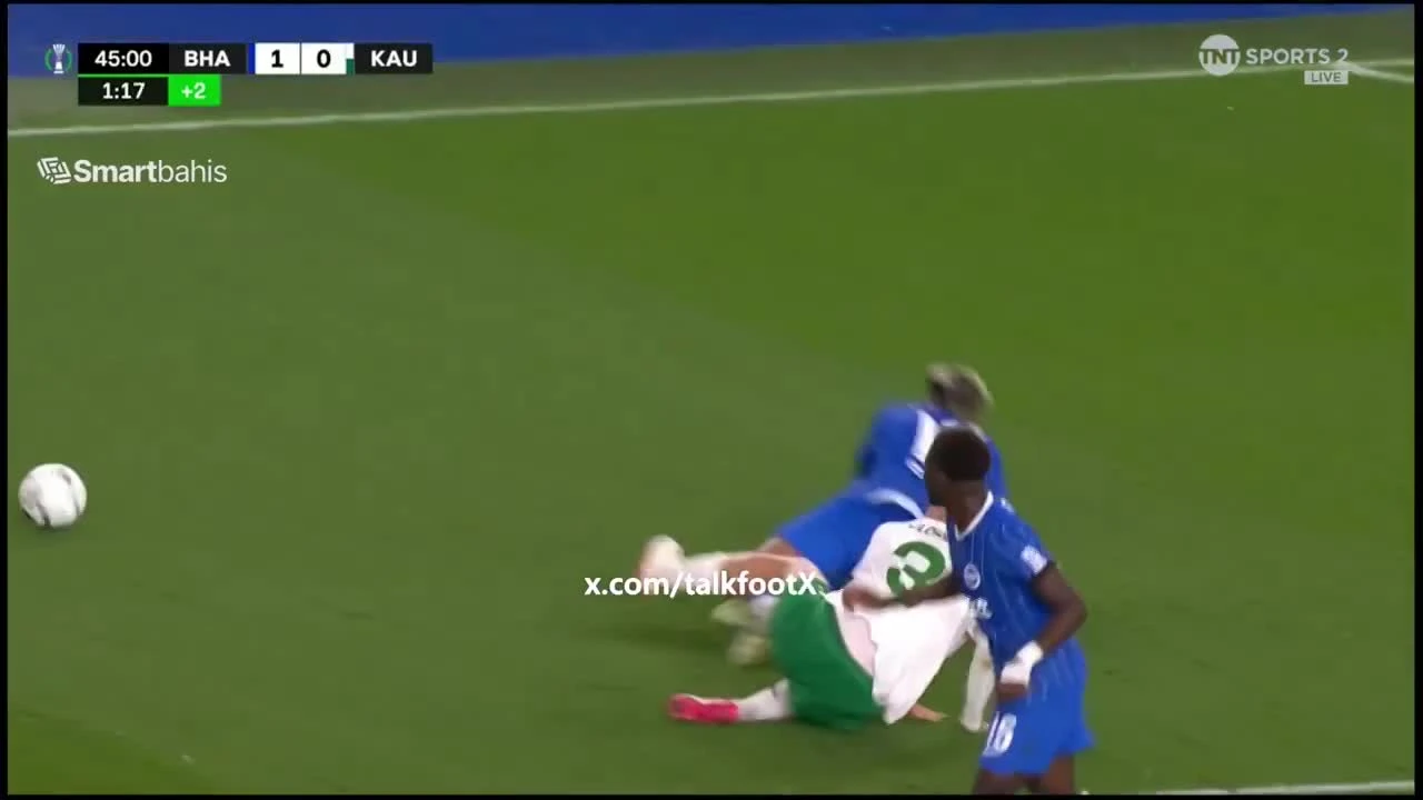 zaslepka skrotu video