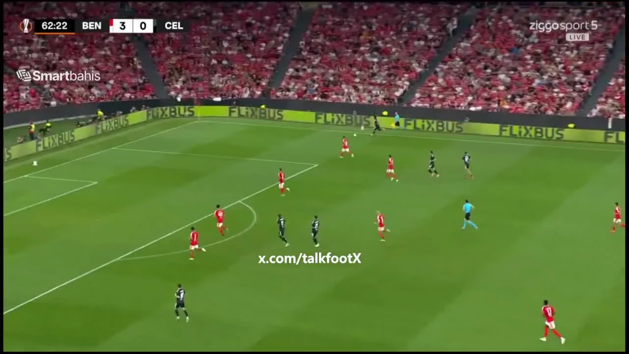 zaslepka skrotu video