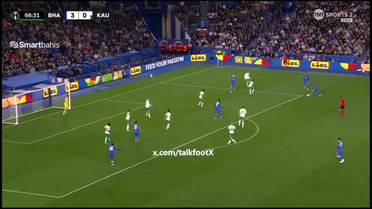zaslepka skrotu video