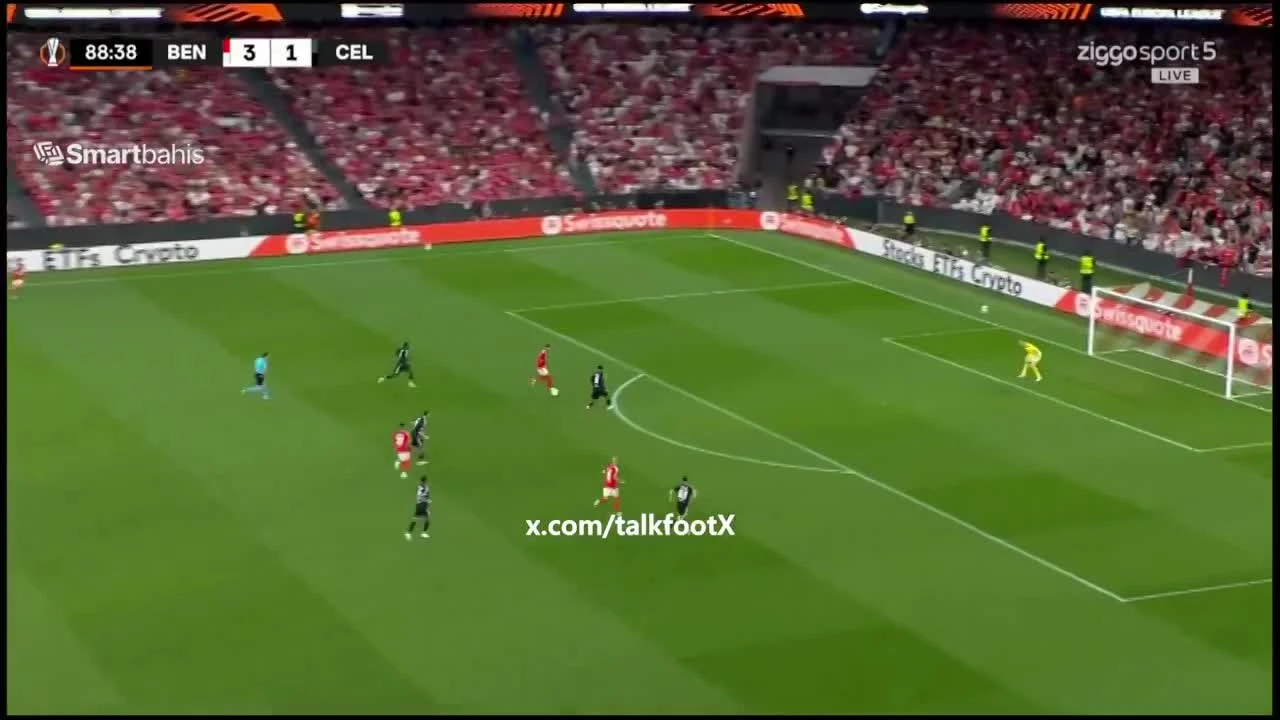 zaslepka skrotu video
