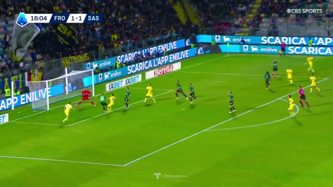 zaslepka skrotu video