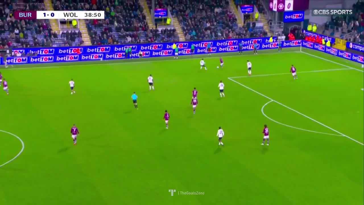 zaslepka skrotu video