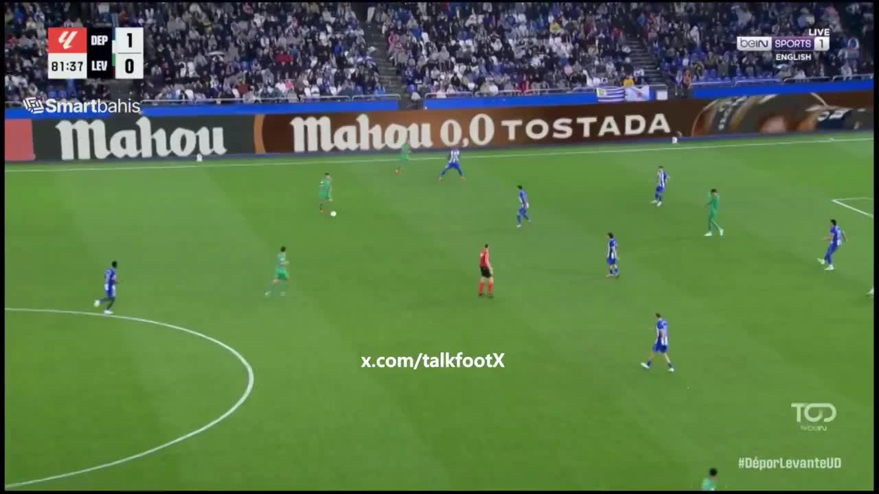 zaslepka skrotu video