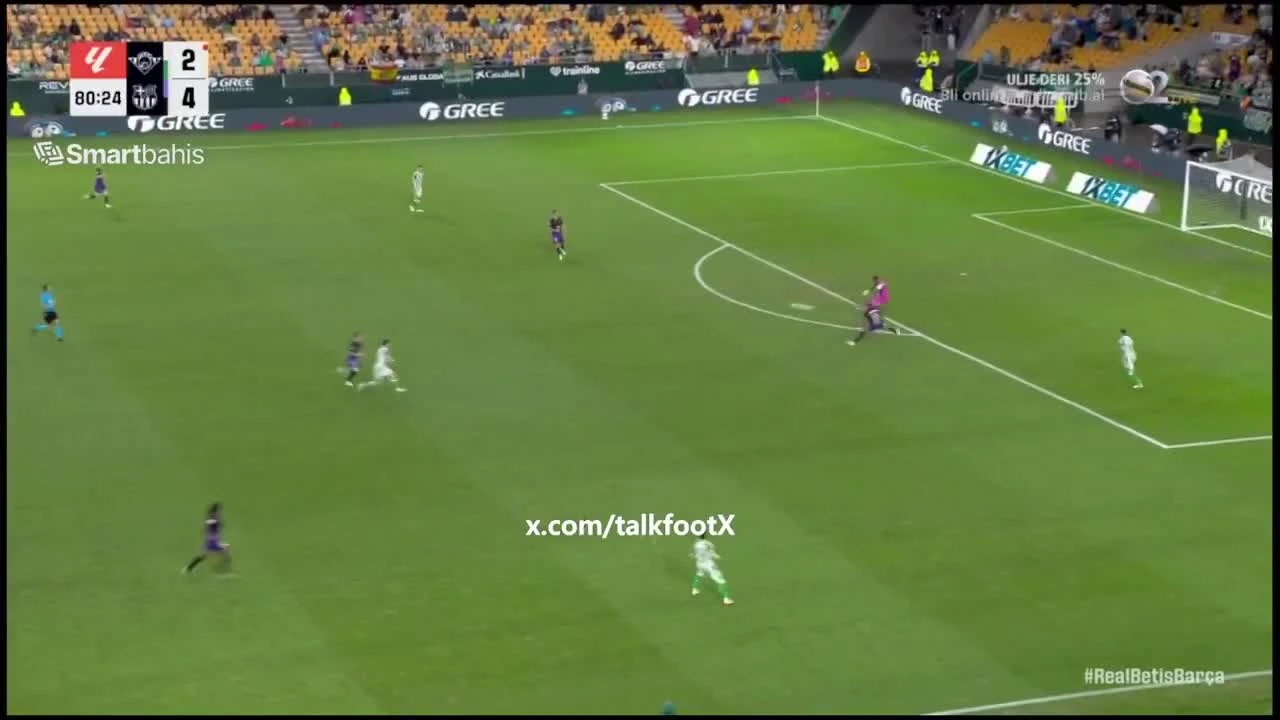 zaslepka skrotu video