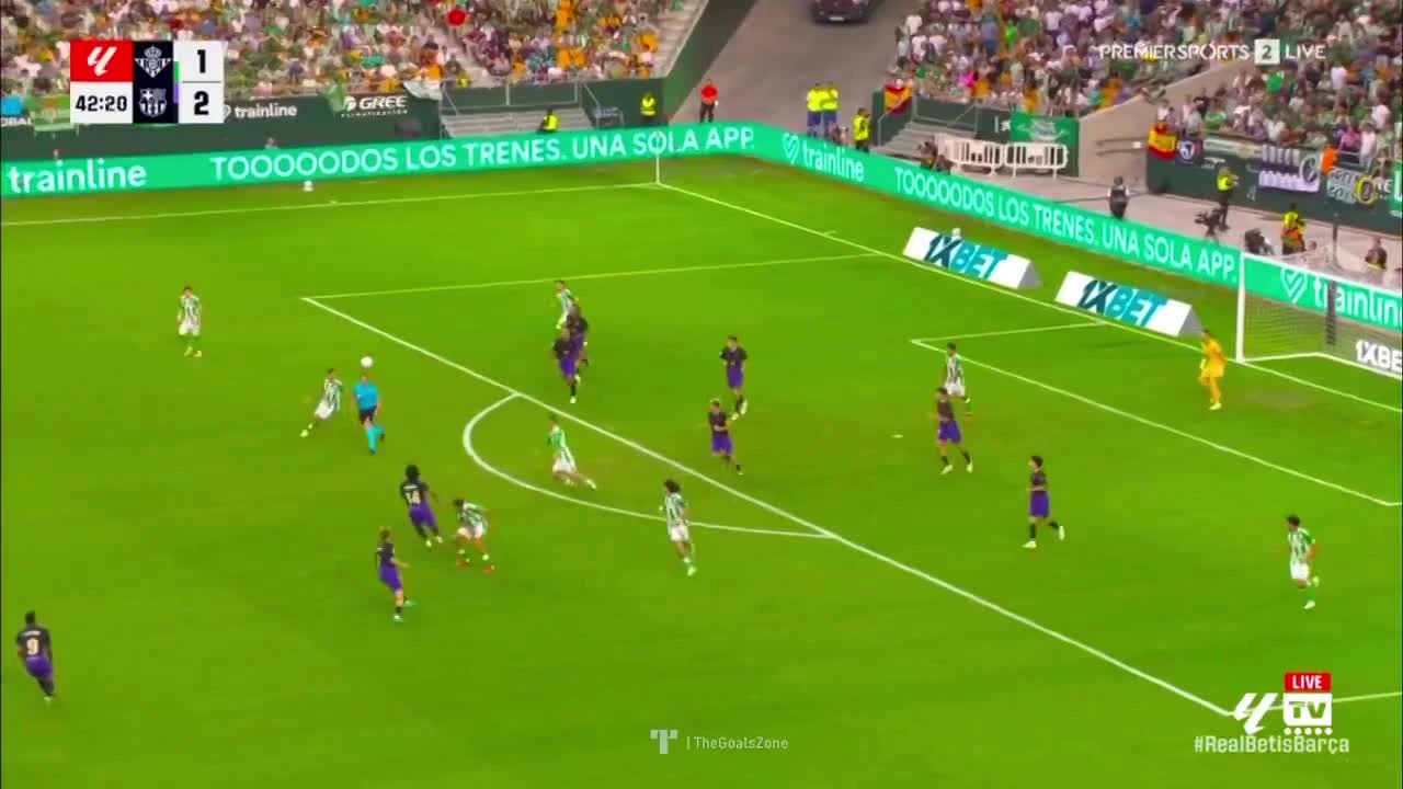 zaslepka skrotu video