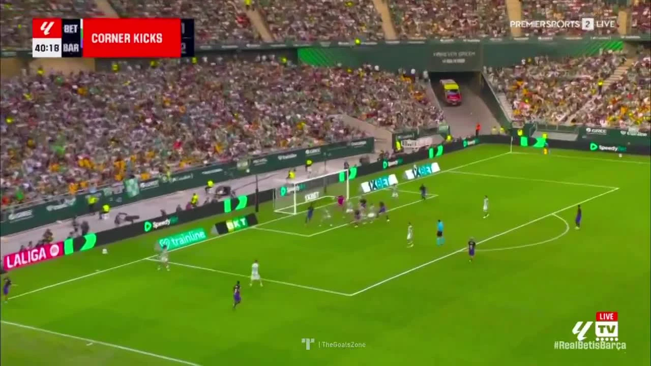 zaslepka skrotu video