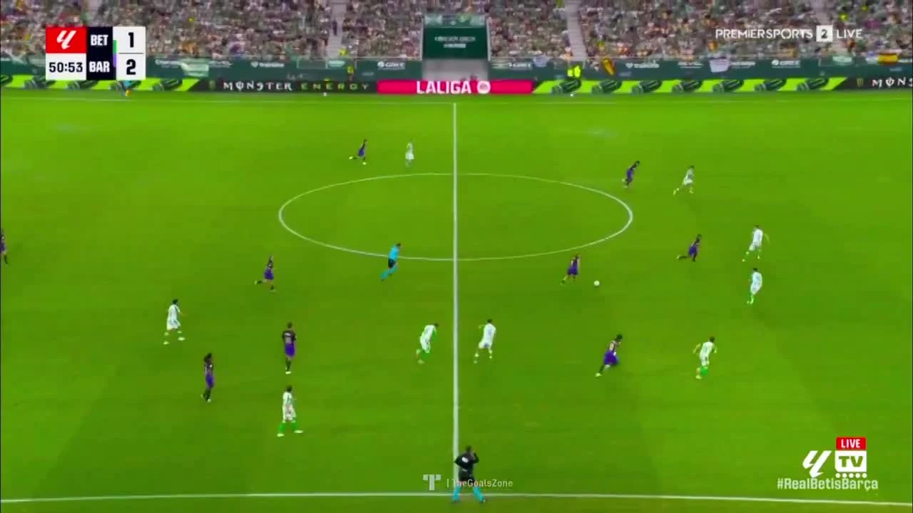 zaslepka skrotu video