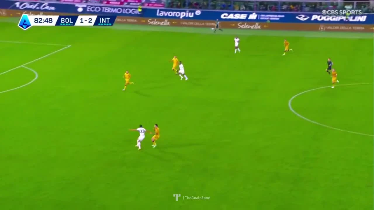 zaslepka skrotu video