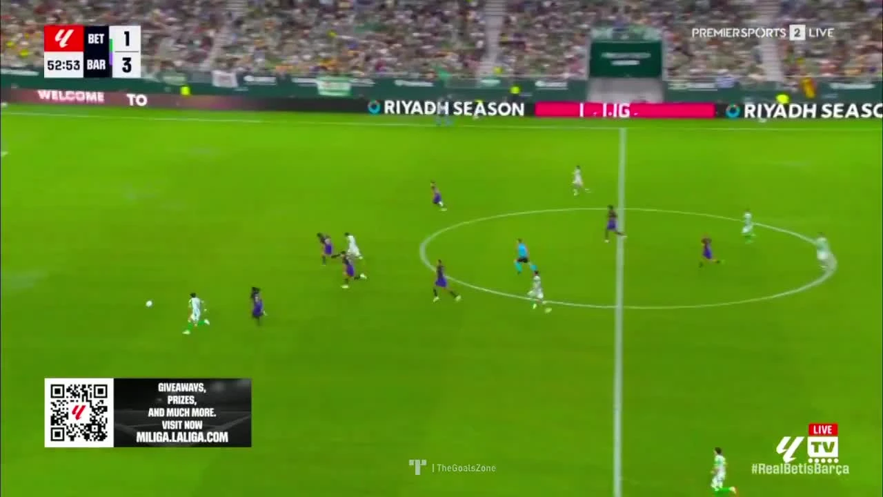 zaslepka skrotu video