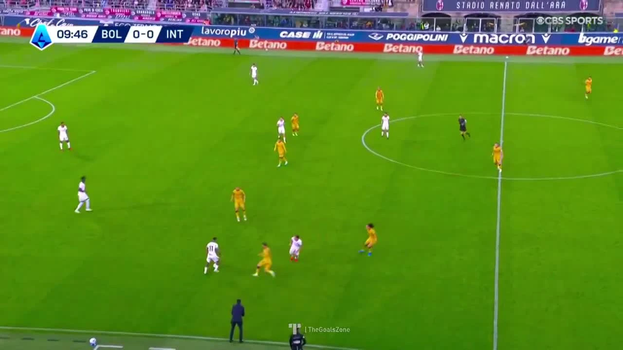 zaslepka skrotu video
