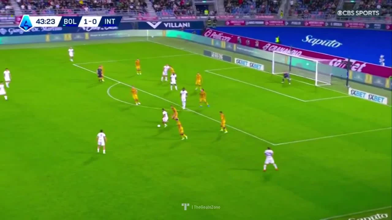 zaslepka skrotu video