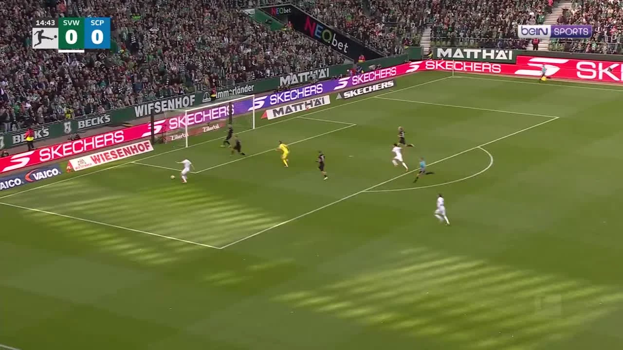 zaslepka skrotu video