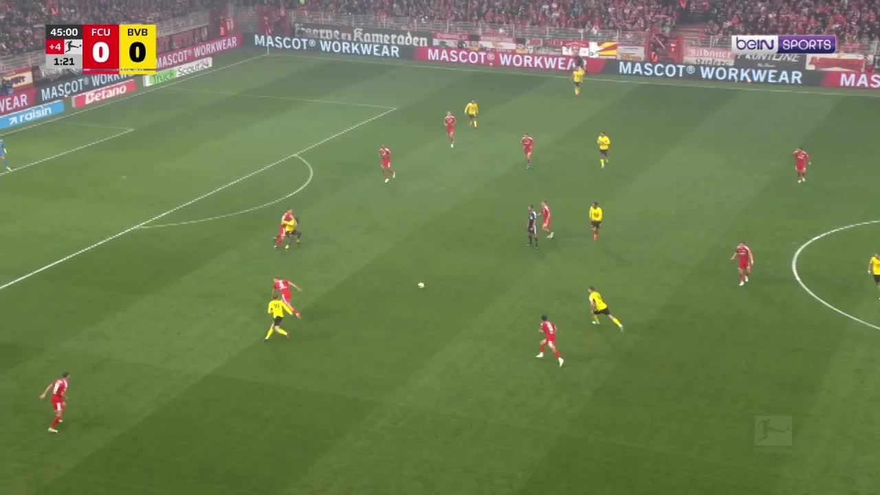 zaslepka skrotu video