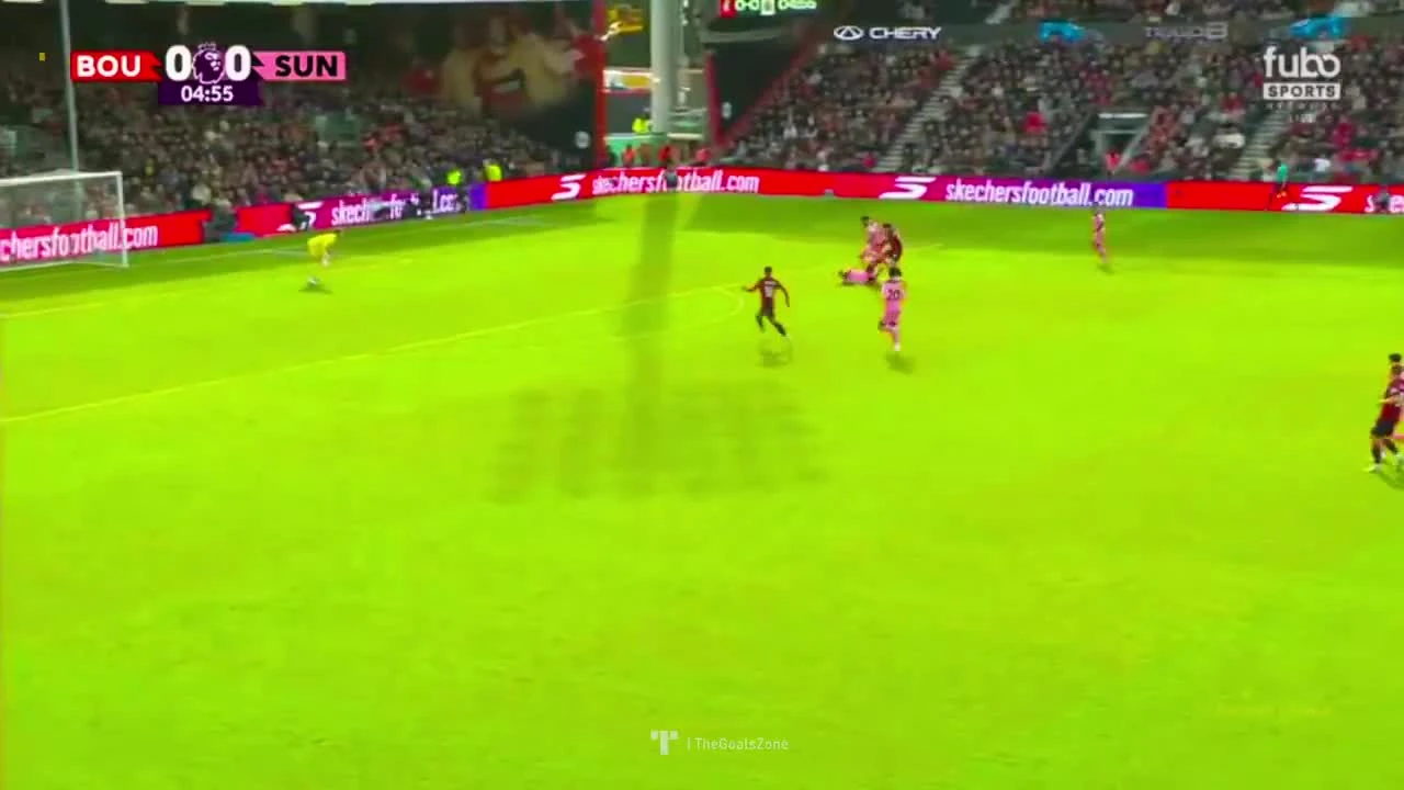 zaslepka skrotu video