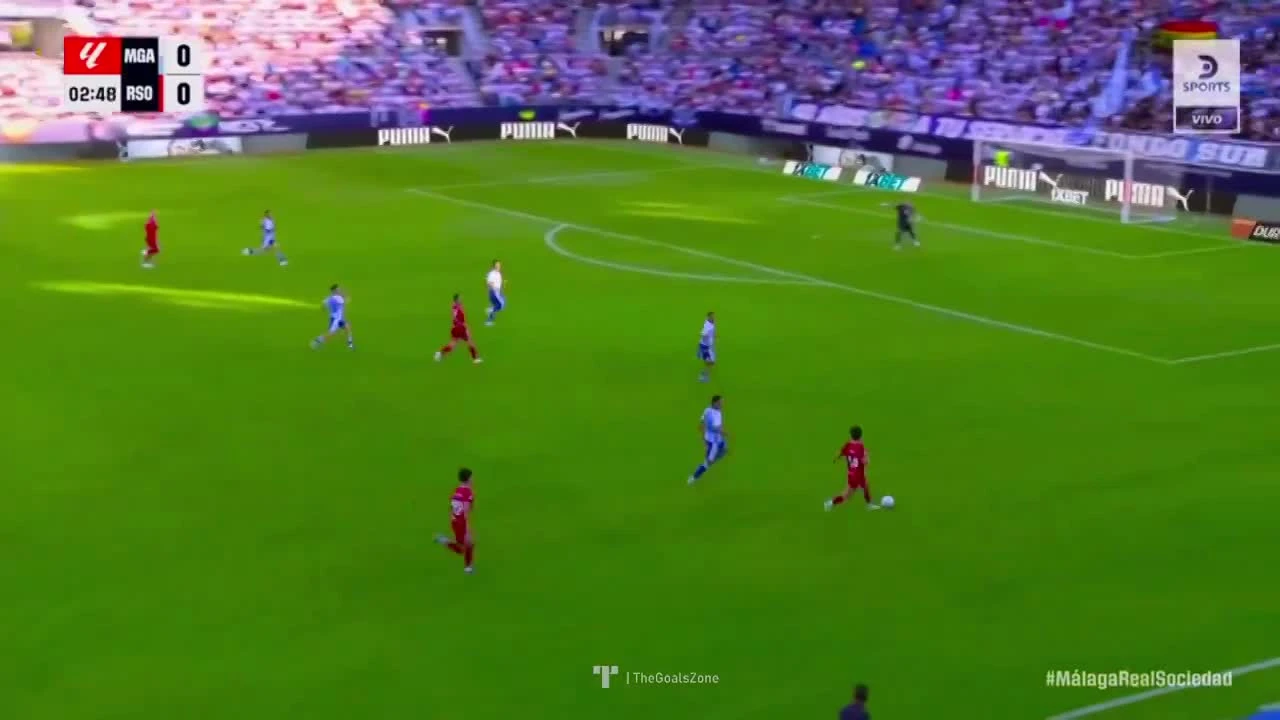 zaslepka skrotu video