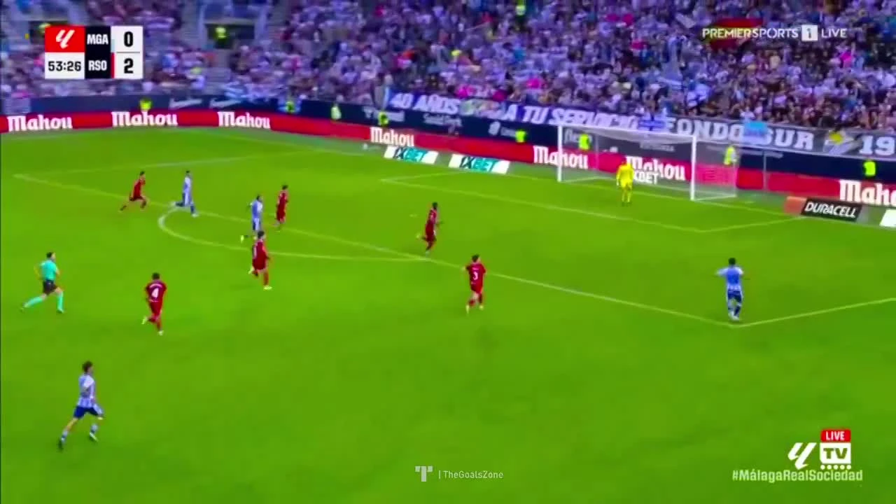 zaslepka skrotu video
