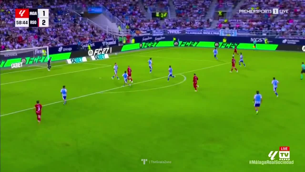 zaslepka skrotu video
