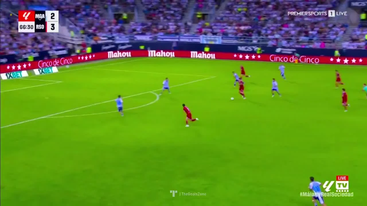 zaslepka skrotu video