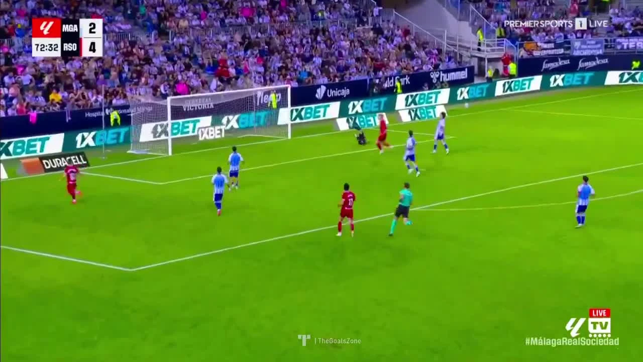 zaslepka skrotu video