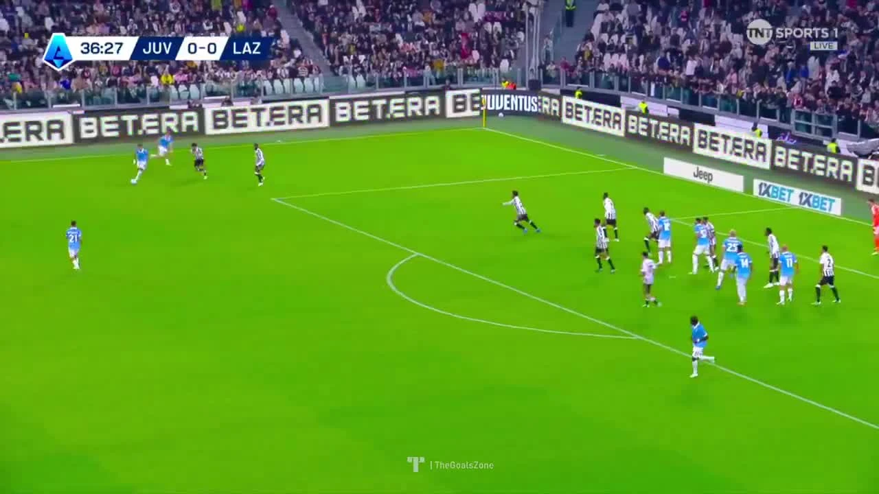 zaslepka skrotu video