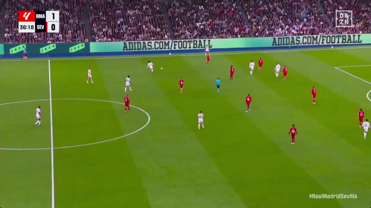 zaslepka skrotu video