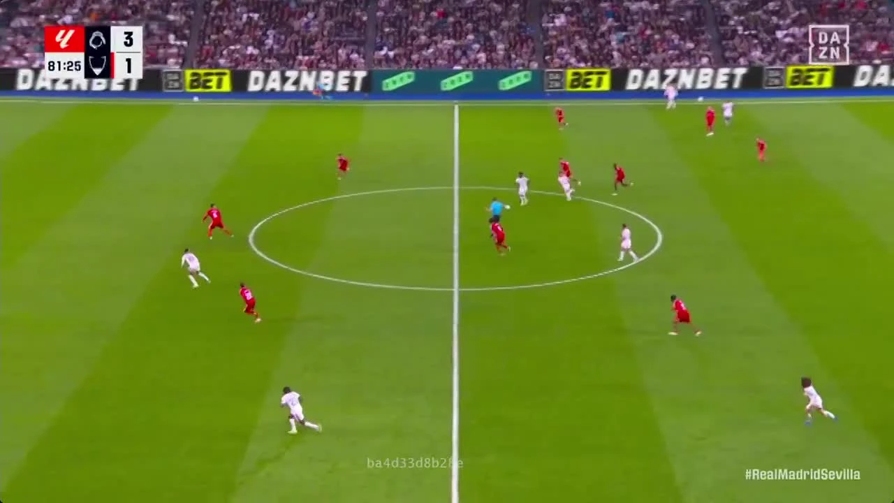 zaslepka skrotu video