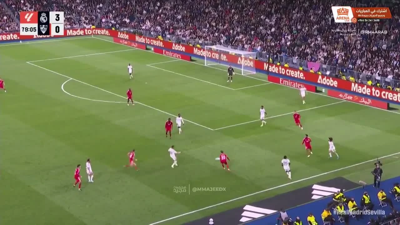 zaslepka skrotu video