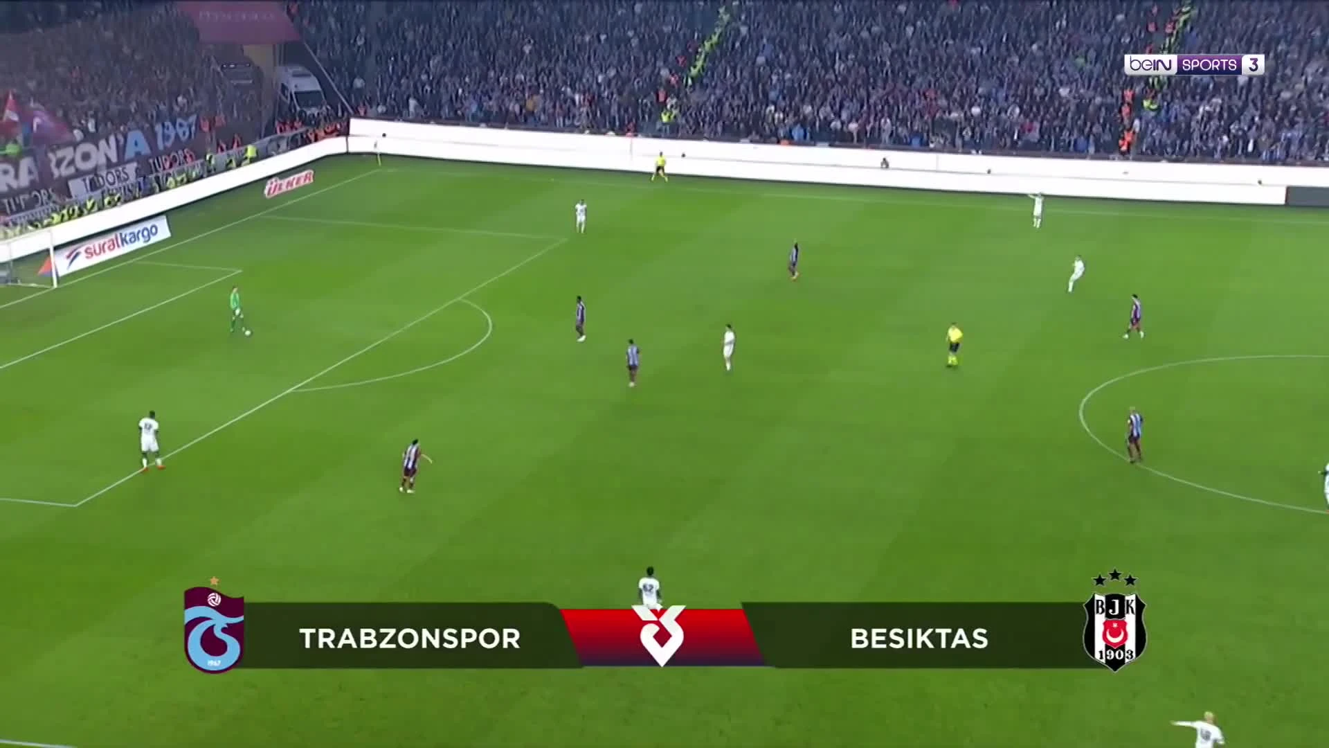 zaslepka skrotu video
