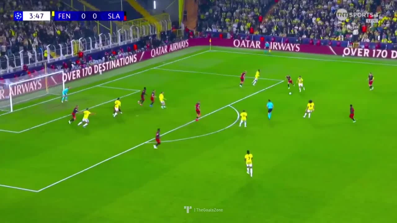 zaslepka skrotu video