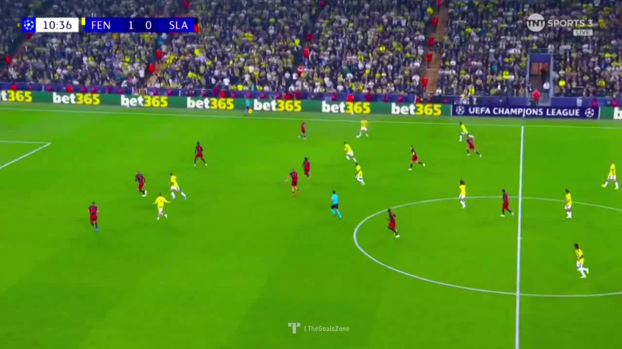 zaslepka skrotu video