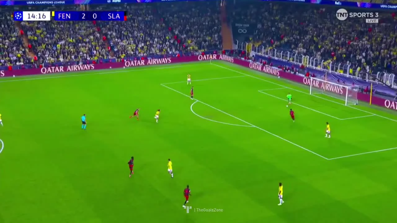 zaslepka skrotu video