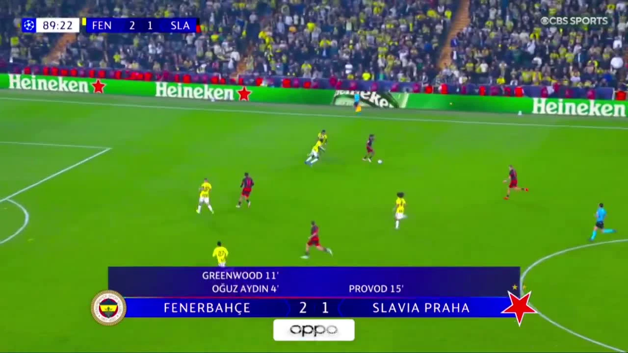 zaslepka skrotu video