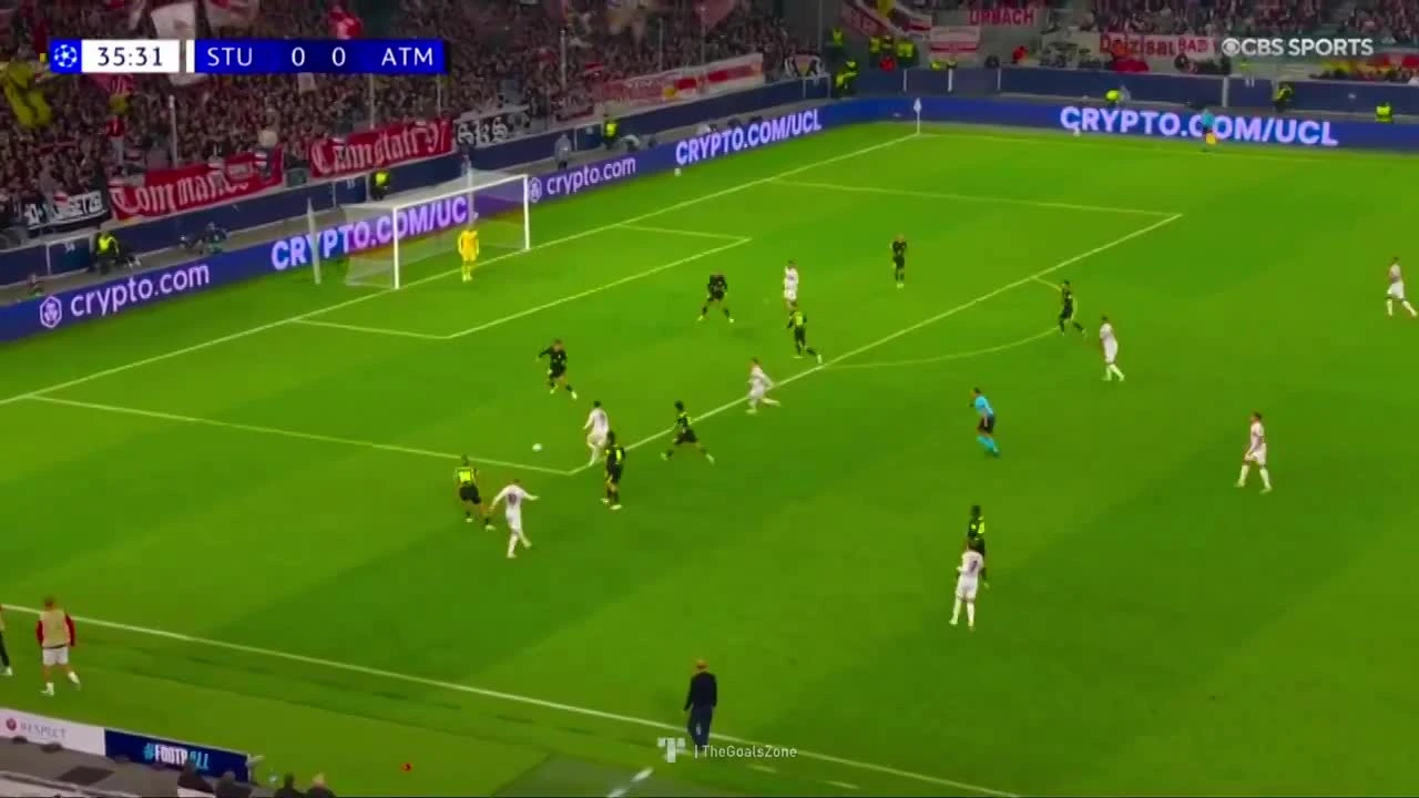 zaslepka skrotu video