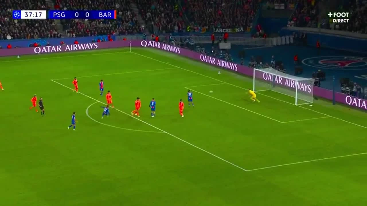 zaslepka skrotu video