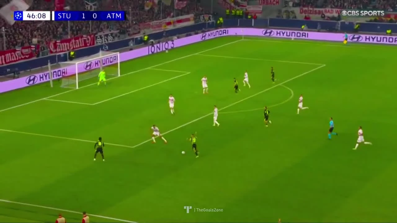 zaslepka skrotu video