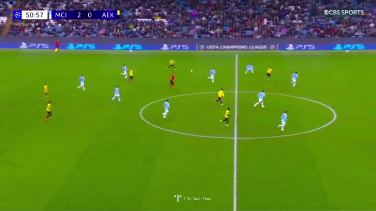 zaslepka skrotu video