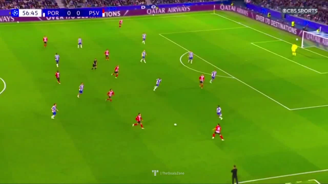 zaslepka skrotu video