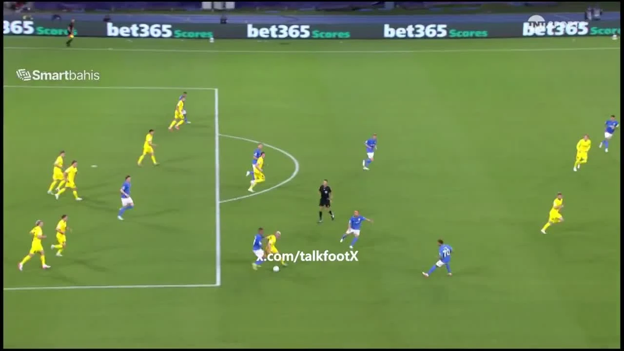 zaslepka skrotu video