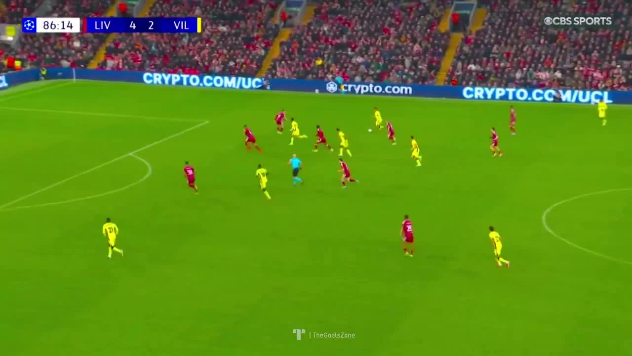 zaslepka skrotu video