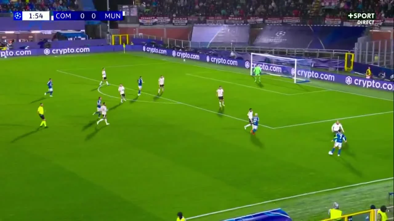 zaslepka skrotu video