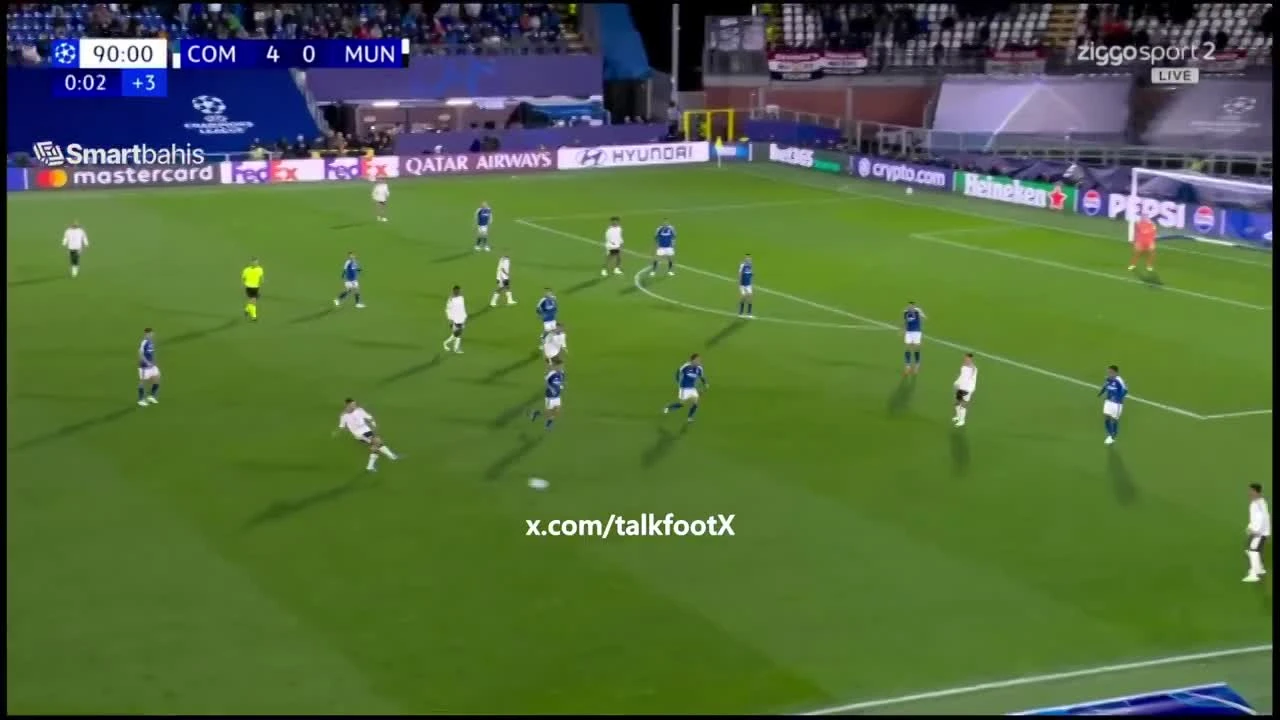 zaslepka skrotu video
