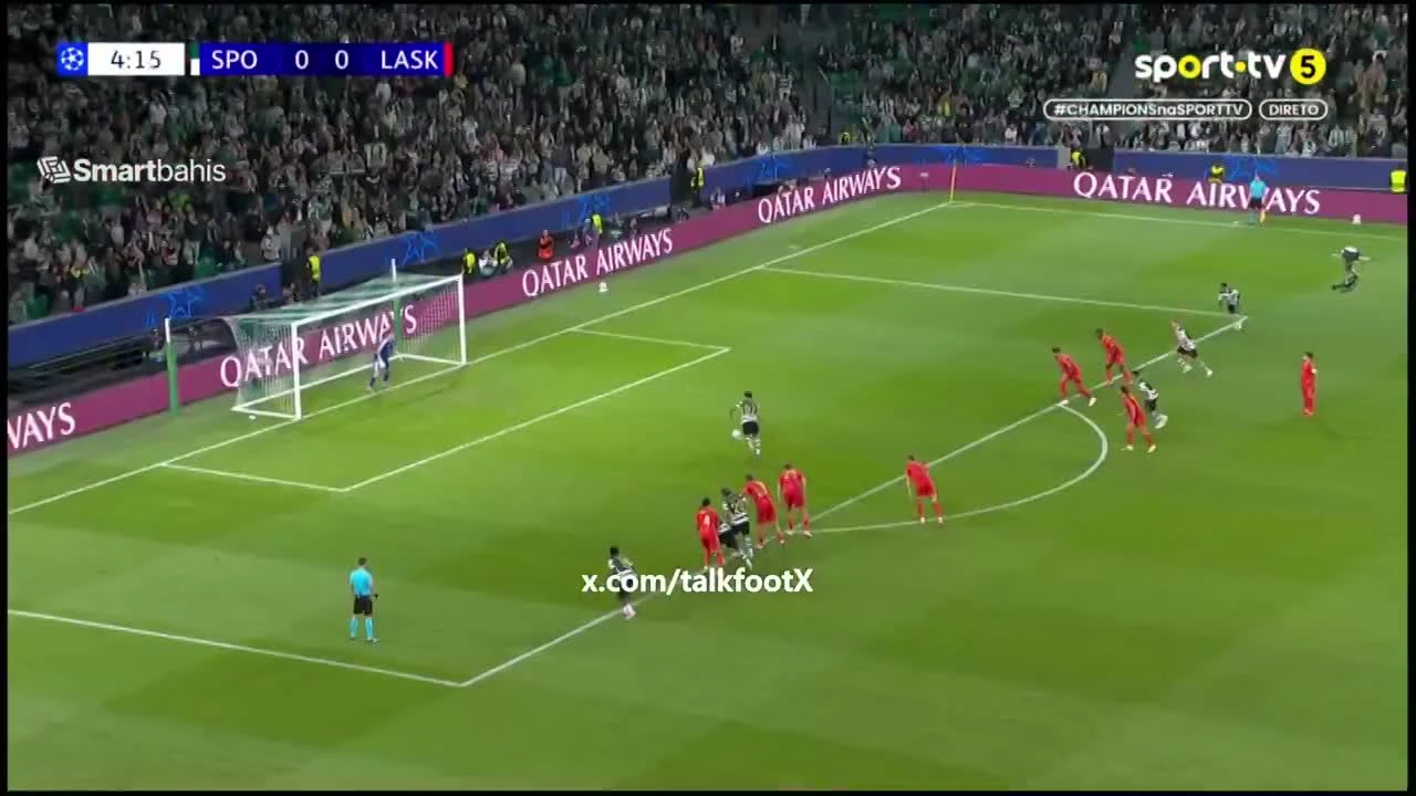 zaslepka skrotu video