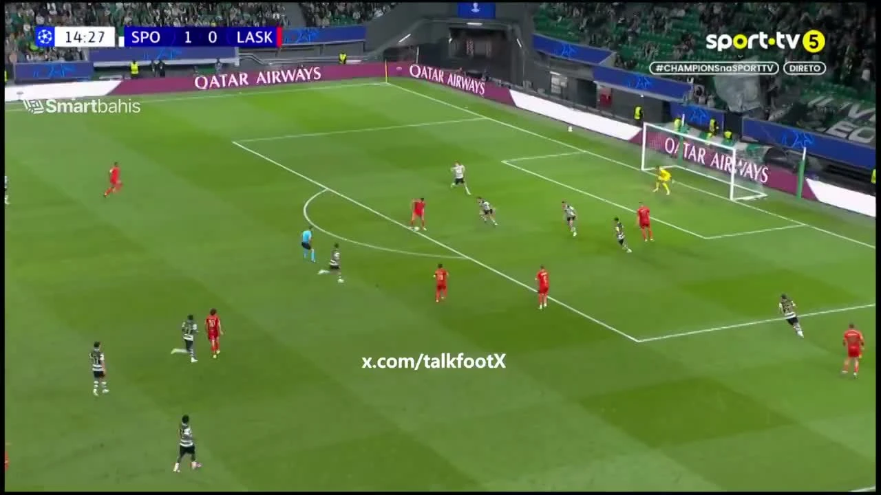 zaslepka skrotu video