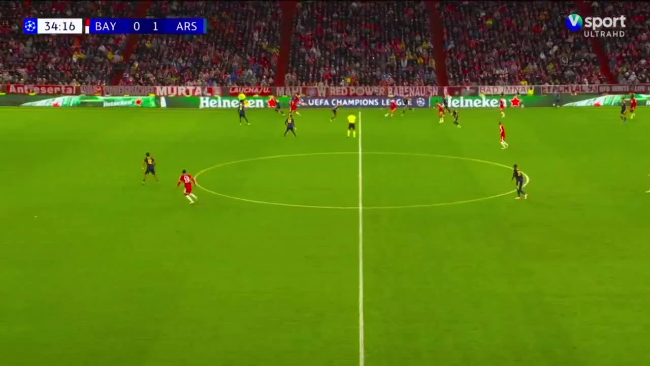 zaslepka skrotu video